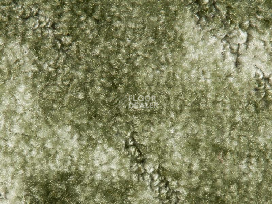 Ковролин Associated Weavers Tango 20 фото 1 | FLOORDEALER